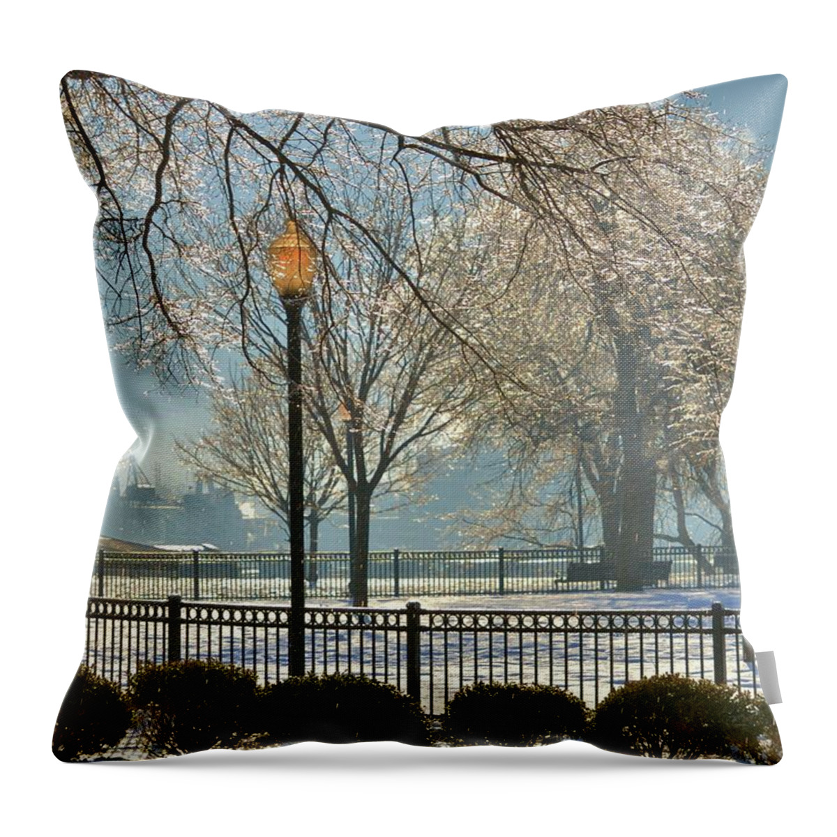 Beach Bum Pics Throw Pillow featuring the photograph Top of the Hill by Billy Beck