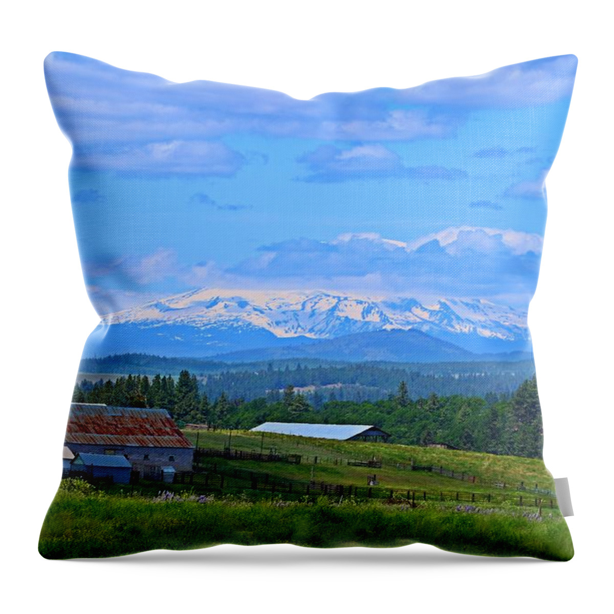 Mt Adams Throw Pillow featuring the photograph Topless by Lynn Hopwood