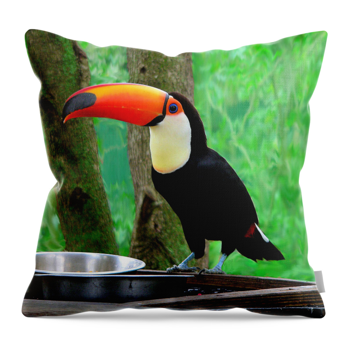 Bird Throw Pillow featuring the photograph Toucan at the Feeding Station by Rosalie Scanlon