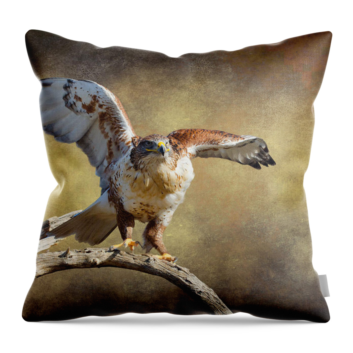 Hawk Throw Pillow featuring the photograph Touch Down by Barbara Manis