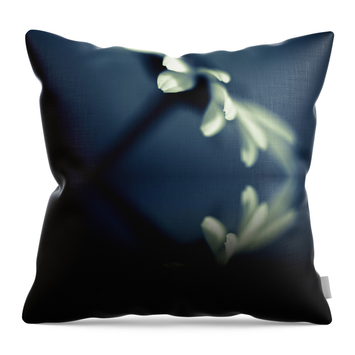Flower Throw Pillow featuring the photograph Touch Of Blue by Shane Holsclaw
