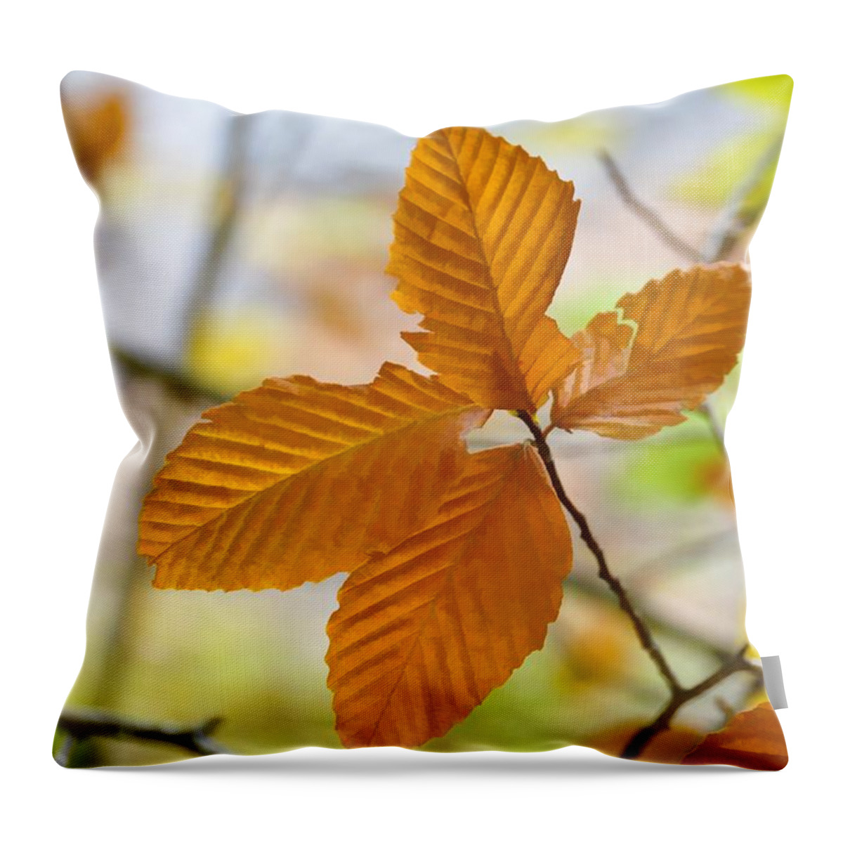 Still Life Throw Pillow featuring the photograph Touch Of Gold by Jan Amiss Photography