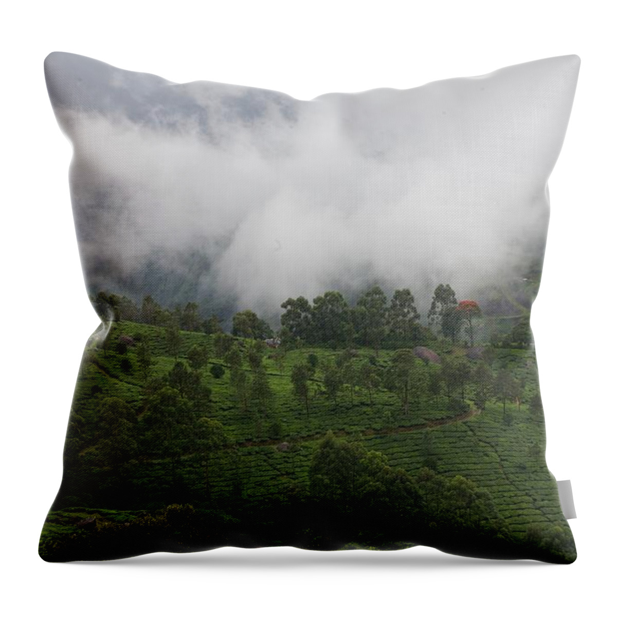 Fog Throw Pillow featuring the photograph Touch Of Red by Lee Stickels