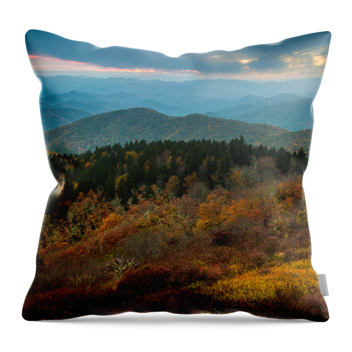 Asheville Throw Pillow featuring the photograph Touch of Yellow by Joye Ardyn Durham