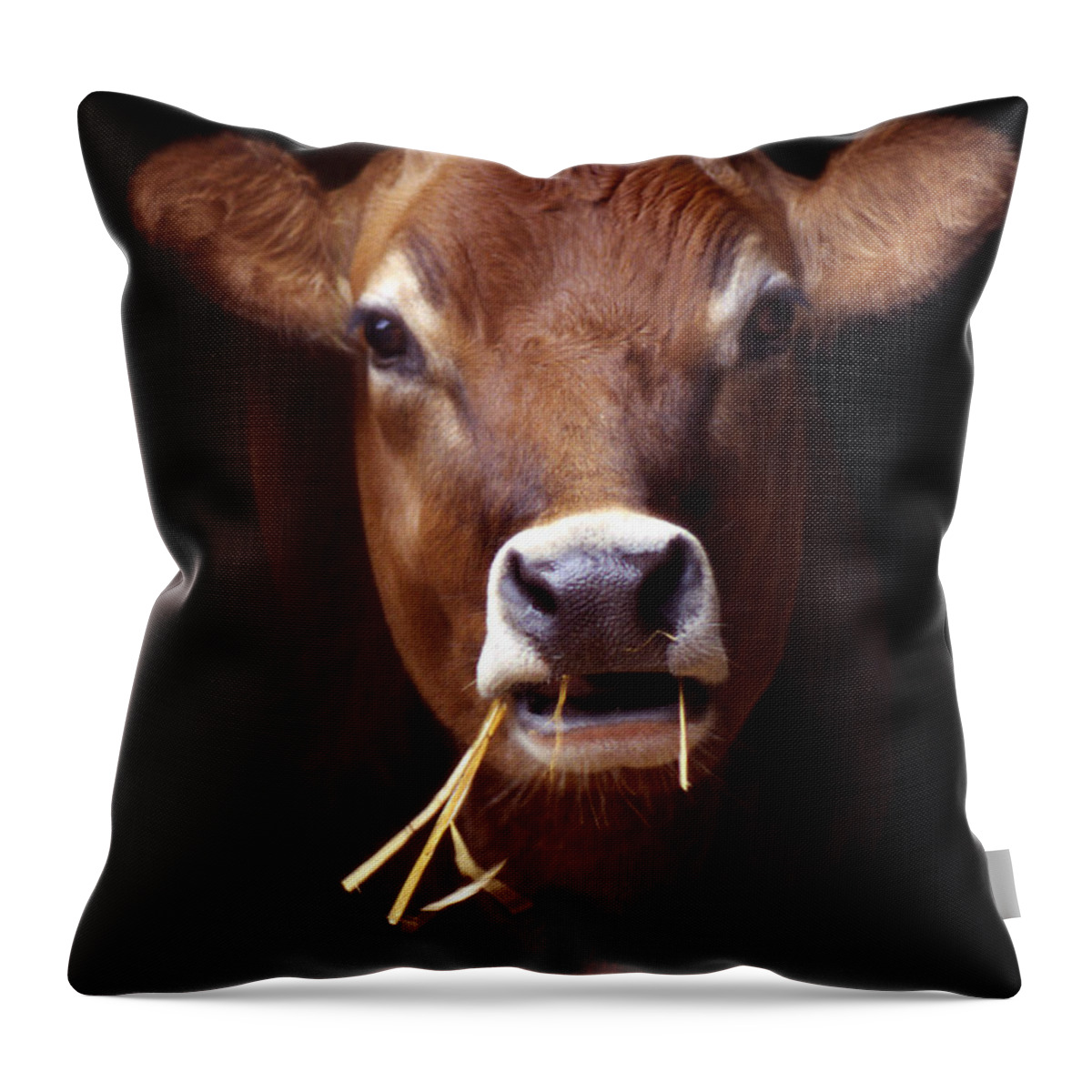 Touppe Throw Pillow featuring the photograph Toupee by Skip Willits