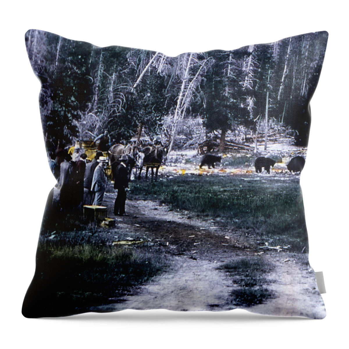History Throw Pillow featuring the photograph Tourists Feeding Bear Yellowstone Np by NPS Photo JP Clum