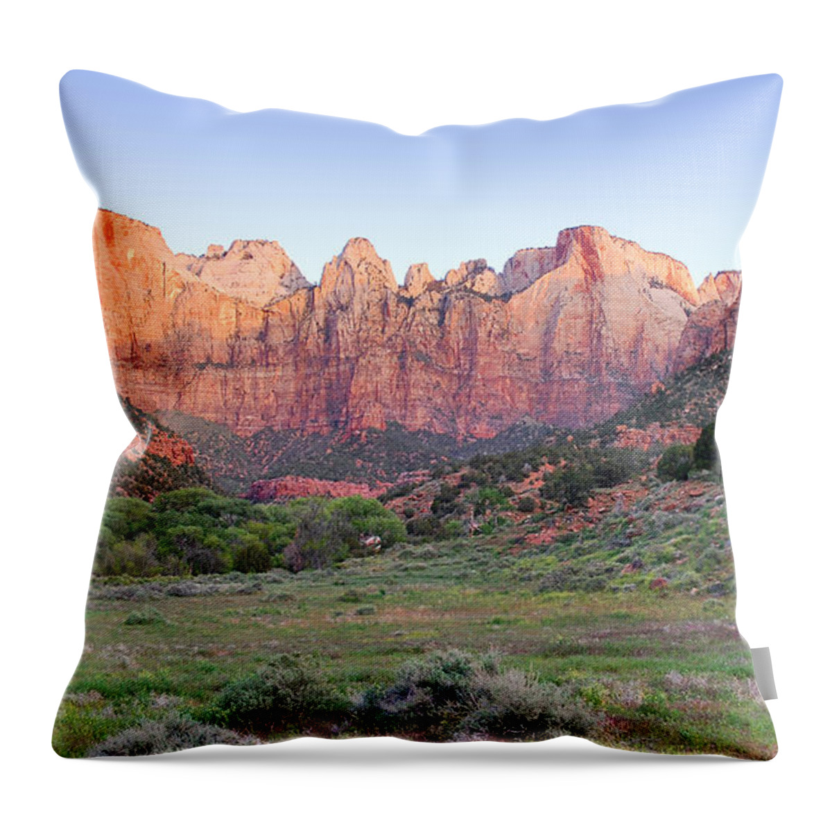 Tower Throw Pillow featuring the photograph Tower of the Virgins by Gregory Ballos