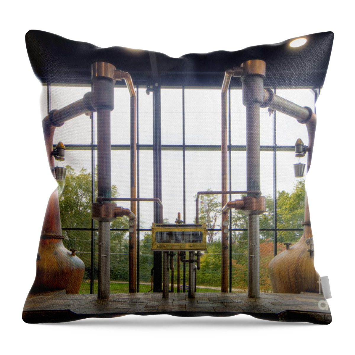 Town Throw Pillow featuring the photograph Town Branch - D008627 by Daniel Dempster