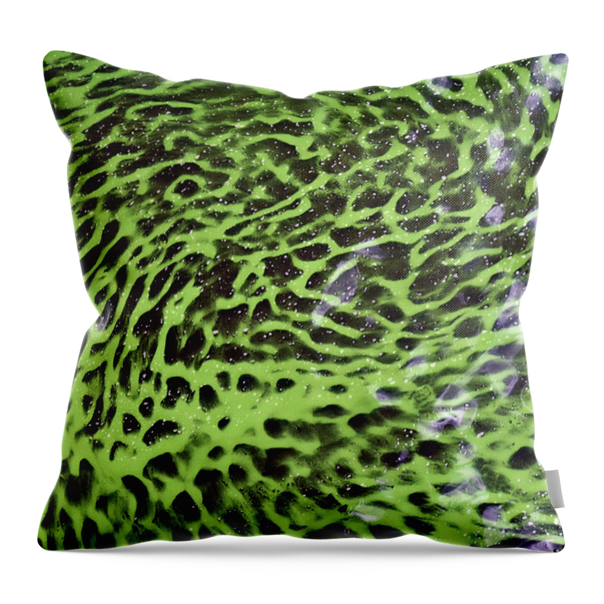 Algal Bloom Throw Pillow featuring the photograph Toxic Cyanobacteria, Florida by Mary Beth Angelo