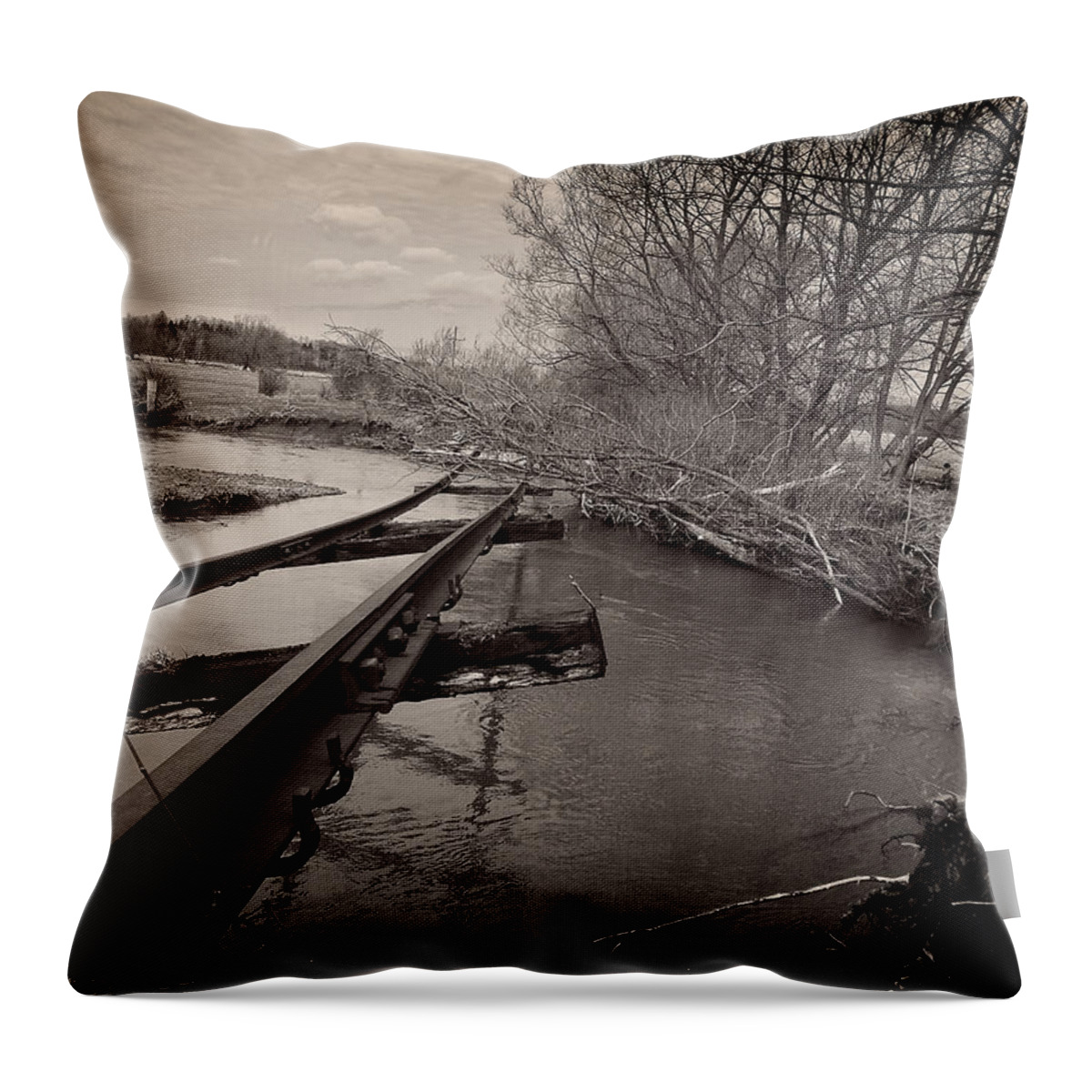 Decay Throw Pillow featuring the photograph Tracks washed out by Chris Bordeleau