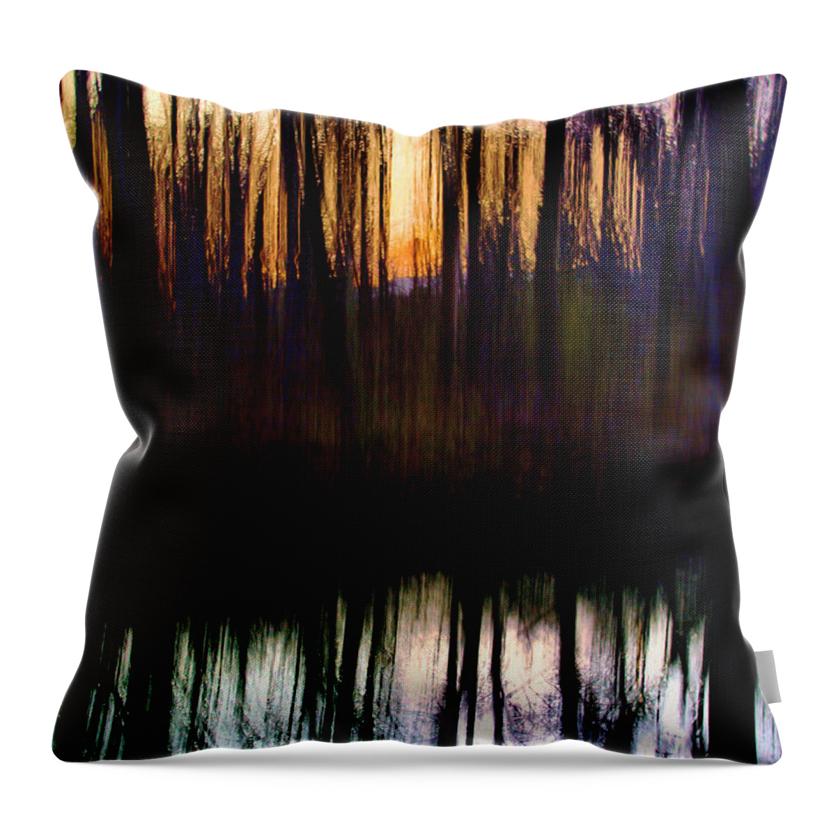Sunset Throw Pillow featuring the photograph Sunset on Trail Creek by Brett Maniscalco