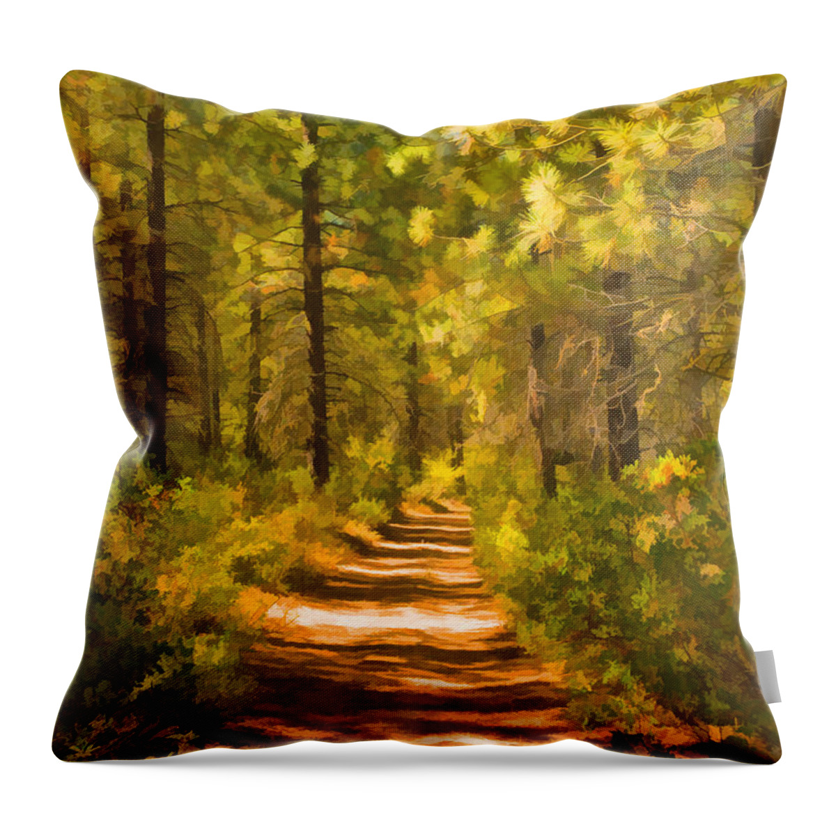 Trail Throw Pillow featuring the digital art Trail Through the Woods by Mick Burkey