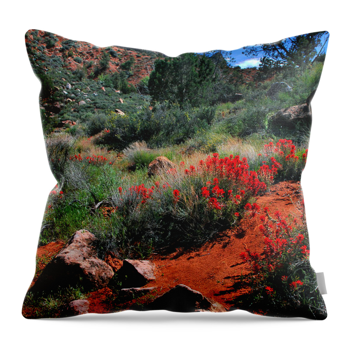 Landscape Throw Pillow featuring the photograph Trail to the Watchman by Barbara Manis