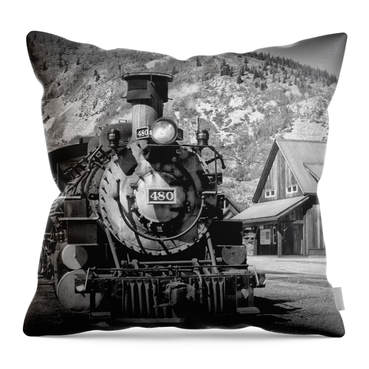 Home Throw Pillow featuring the photograph Train 480 by Richard Gehlbach