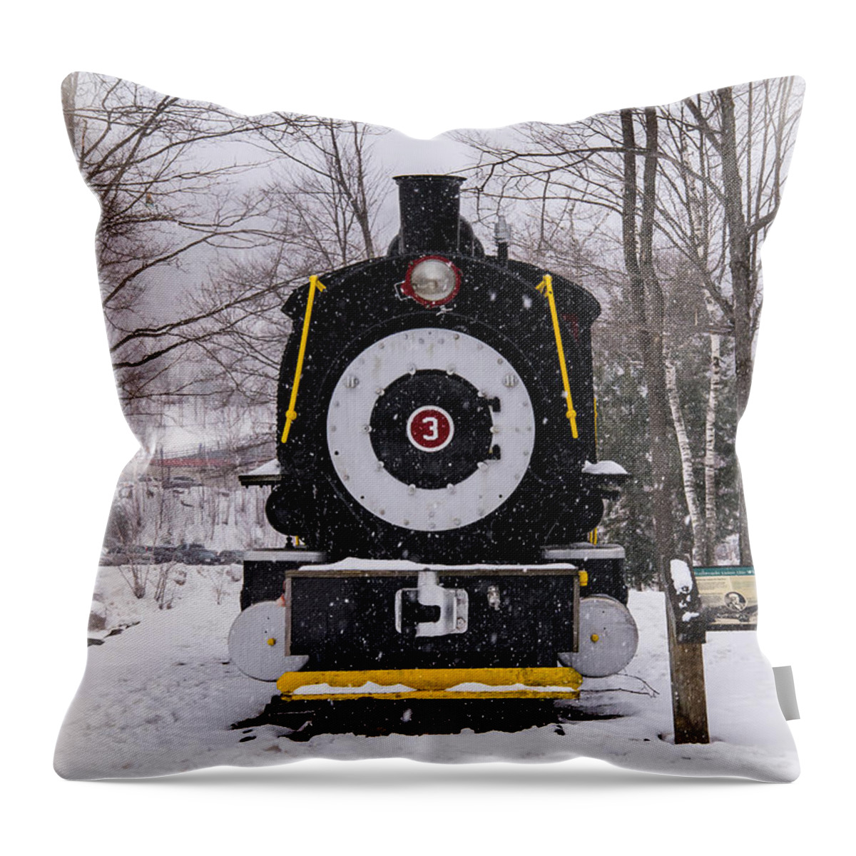 Train Throw Pillow featuring the photograph Train by Glenn Gordon