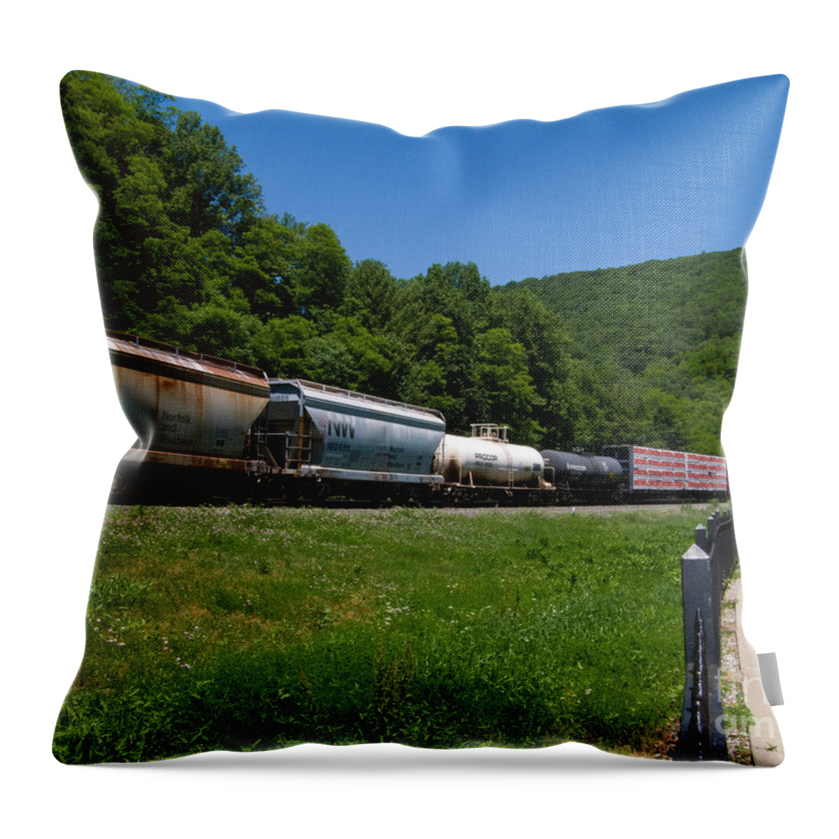 Allegheny Mountains Throw Pillow featuring the photograph Train Watching at the Horseshoe Curve Altoona Pennsylvania by Amy Cicconi