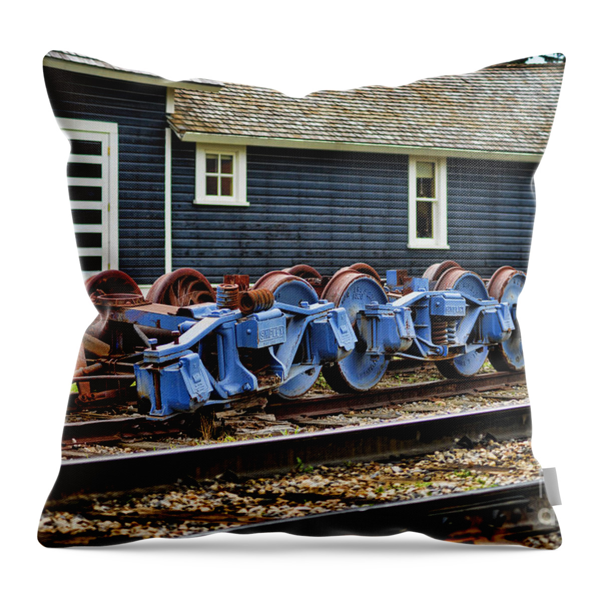 Trains Throw Pillow featuring the photograph Trains TR3634-13 by Randy Harris