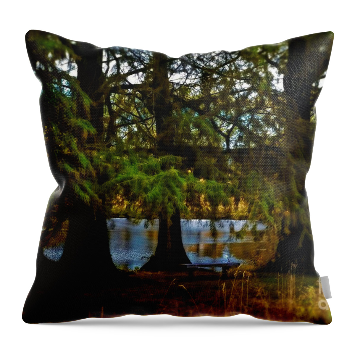  Tranquil Landscape Throw Pillow featuring the photograph Tranquil and Serene by Peggy Franz