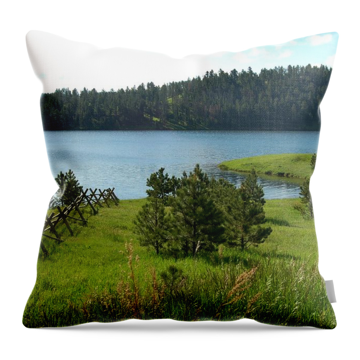 Dakota Throw Pillow featuring the photograph Tranquil Deerfield Morning by Greni Graph