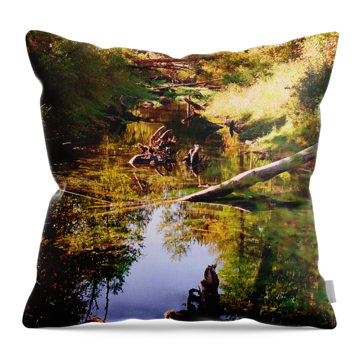 Nature Throw Pillow featuring the photograph Tranquil Space by Kathy Bassett