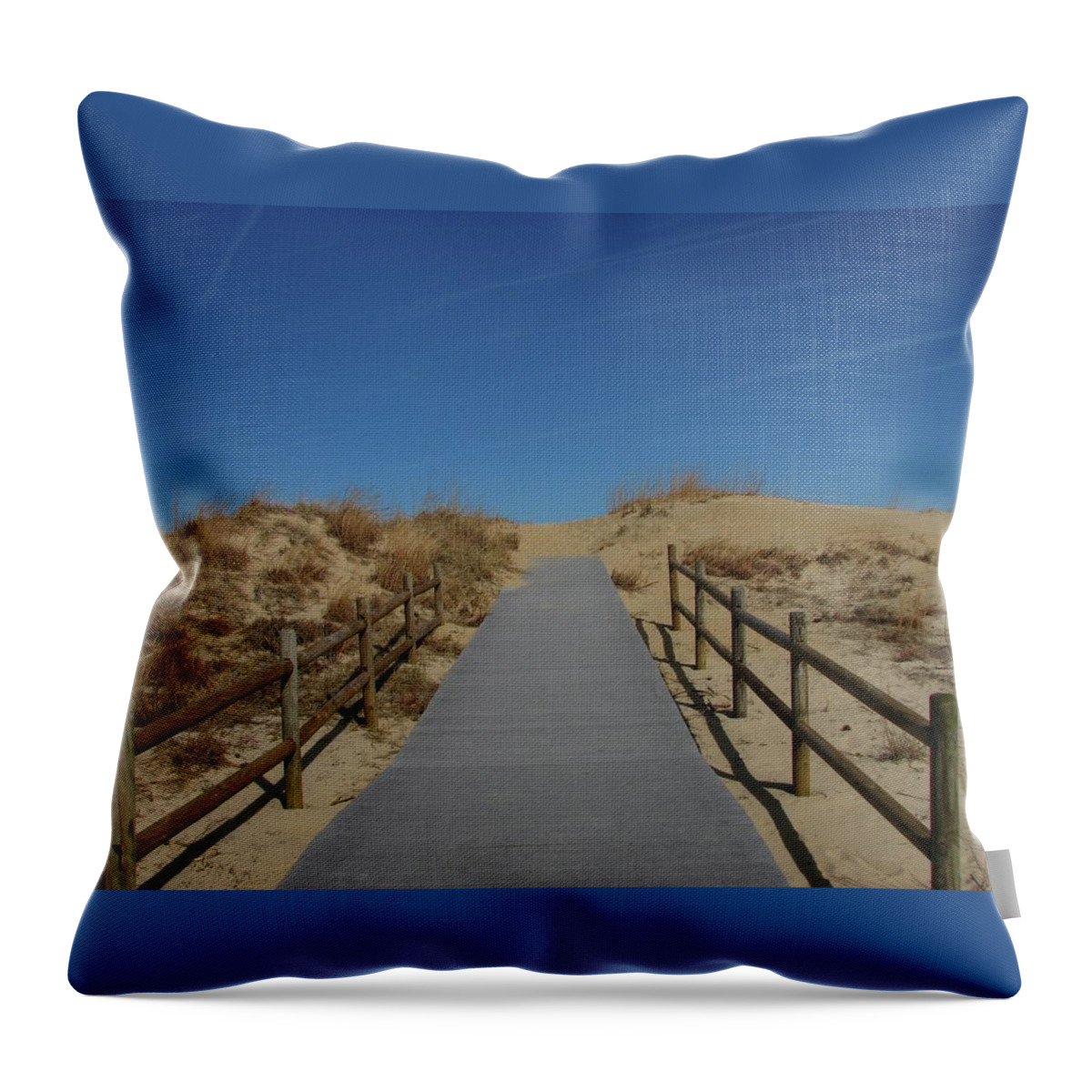Path To The Sea Throw Pillow featuring the photograph Virginia Beach Tranquility by Cleaster Cotton