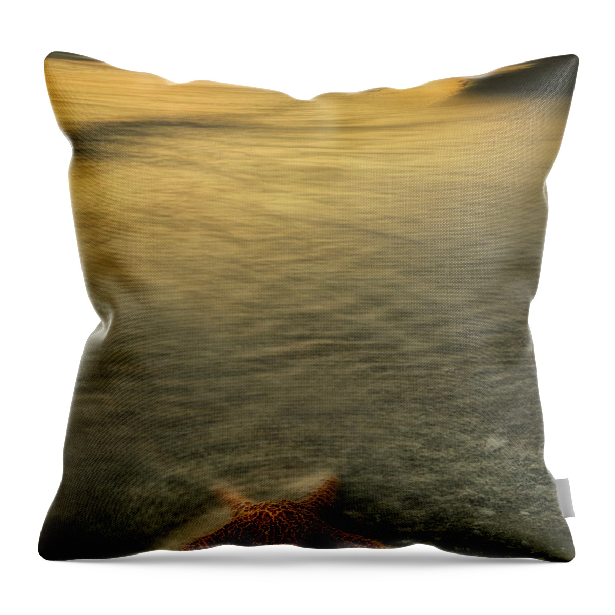 Starfish Throw Pillow featuring the photograph Tranquility by Darylann Leonard Photography