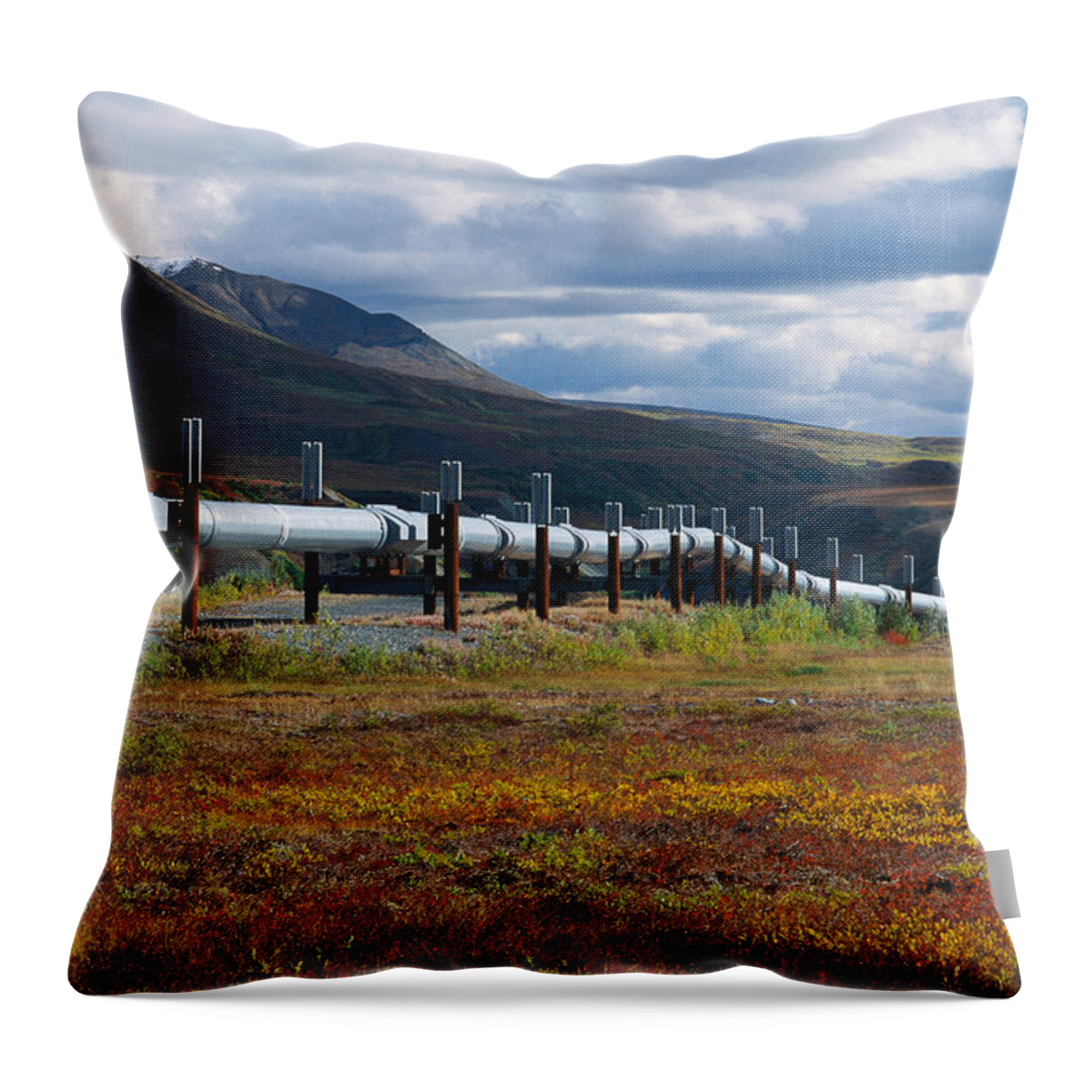 Alaska Industry Throw Pillow featuring the photograph Trans-alaska Pipeline by Thomas And Pat Leeson