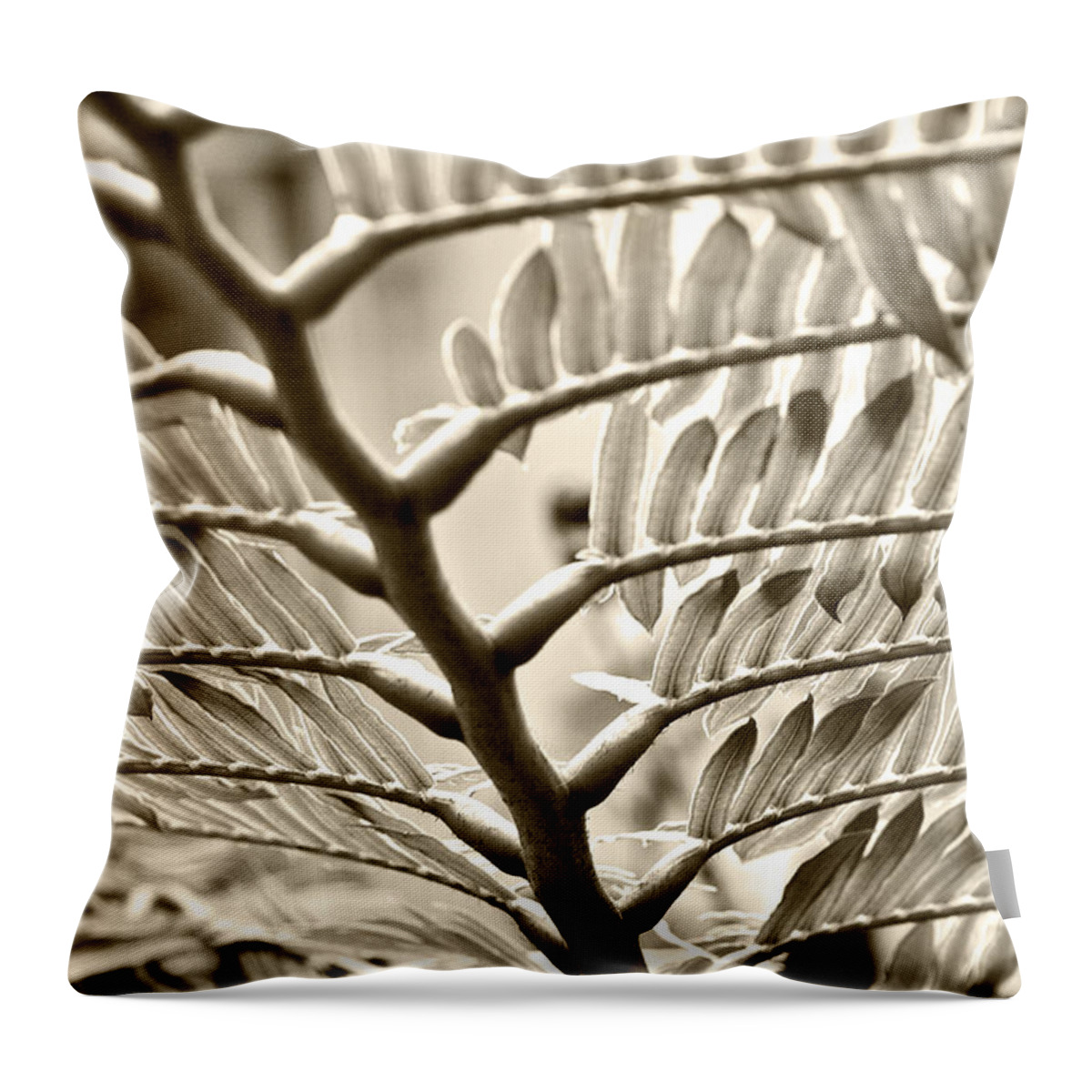 Botanical Throw Pillow featuring the photograph Translucidity by Melinda Ledsome