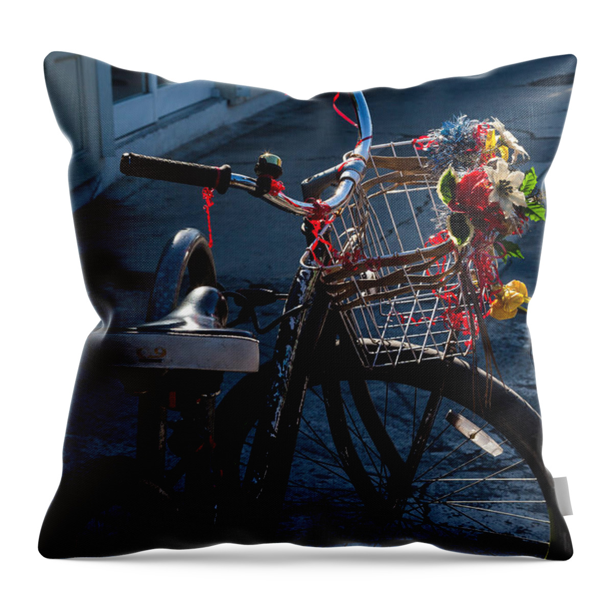 Basket Throw Pillow featuring the photograph Transportation Personality by Ed Gleichman
