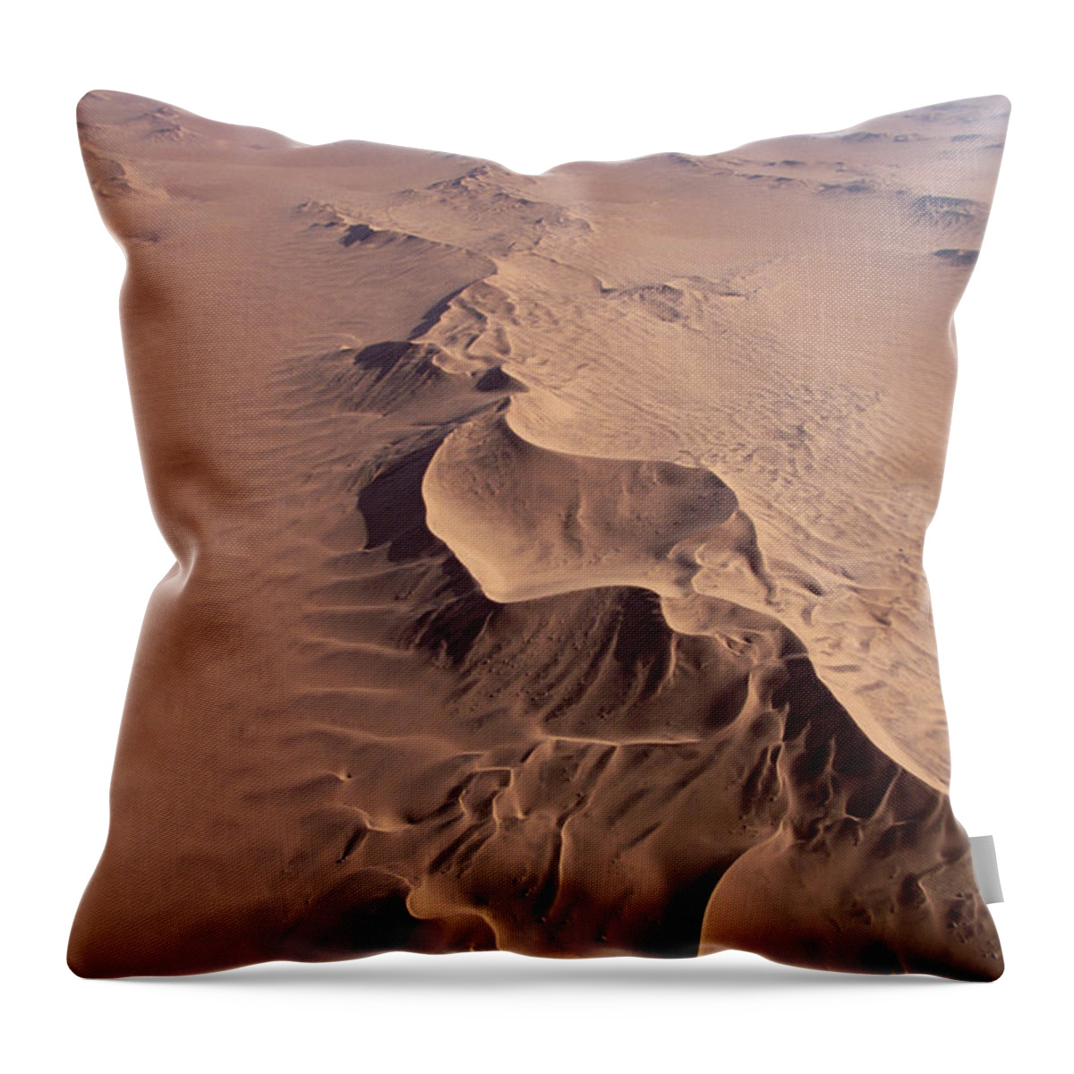 Feb0514 Throw Pillow featuring the photograph Transverse Sand Dune Namib-naukluft Np by Gerry Ellis