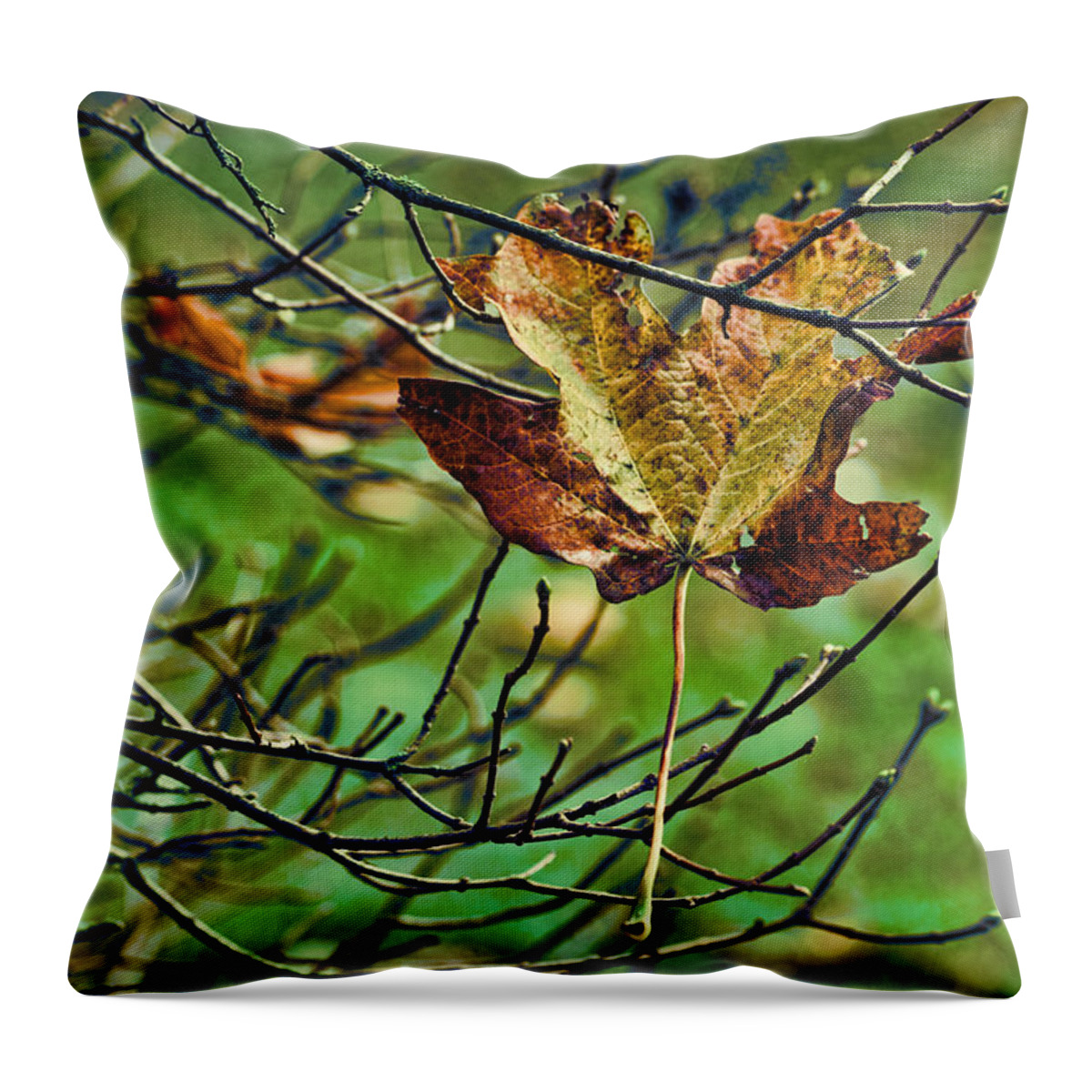 Fallen Leaf Throw Pillow featuring the photograph Trapped by Bonnie Bruno