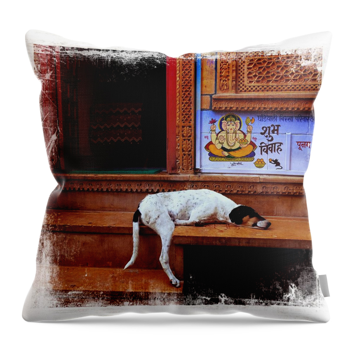 Dog Throw Pillow featuring the photograph Travel Sleepy Happy Doggie Jaisalmer Fort India Rajasthan by Sue Jacobi