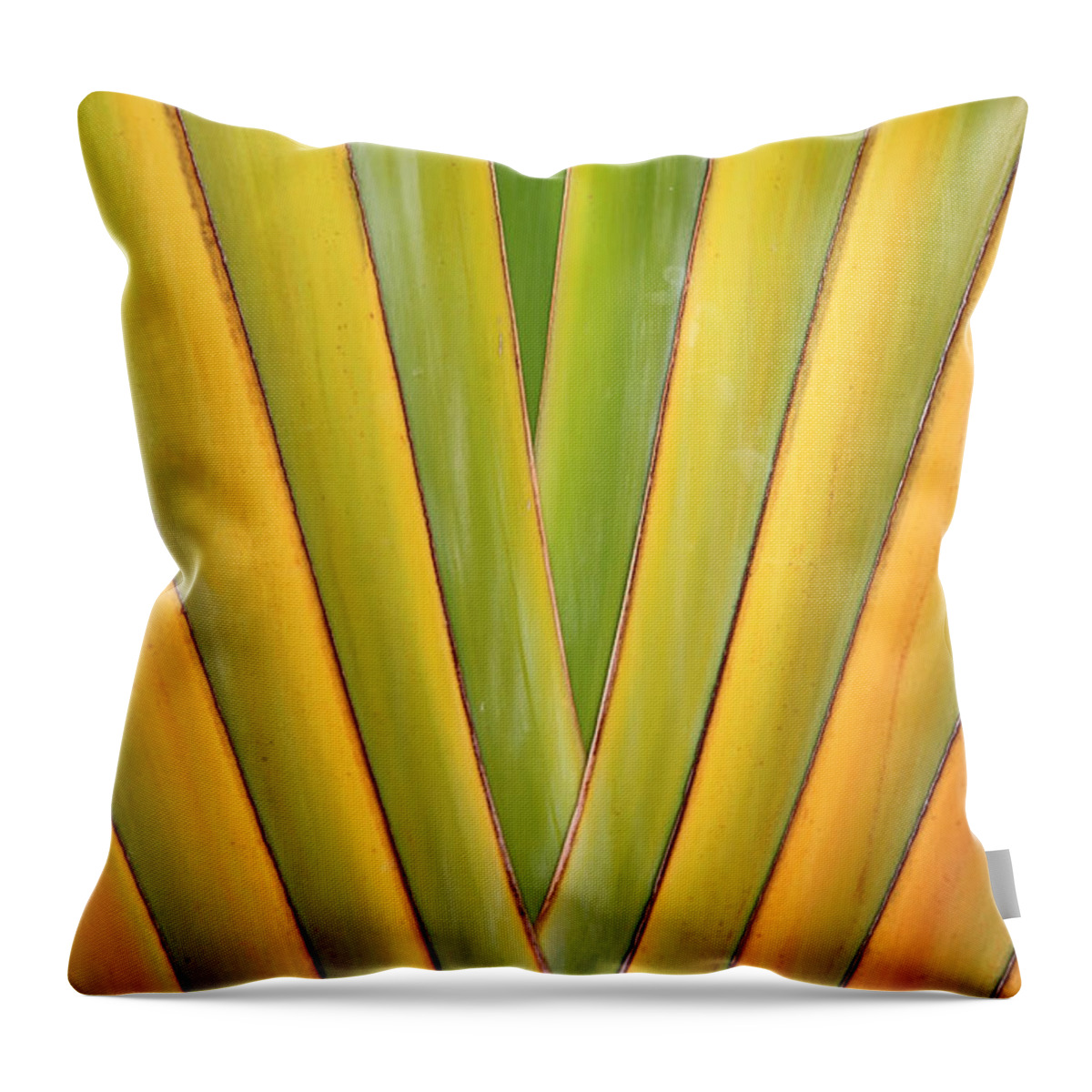 Traveler's Palm Throw Pillow featuring the photograph Travellers Palm Abstract by Teresa Zieba