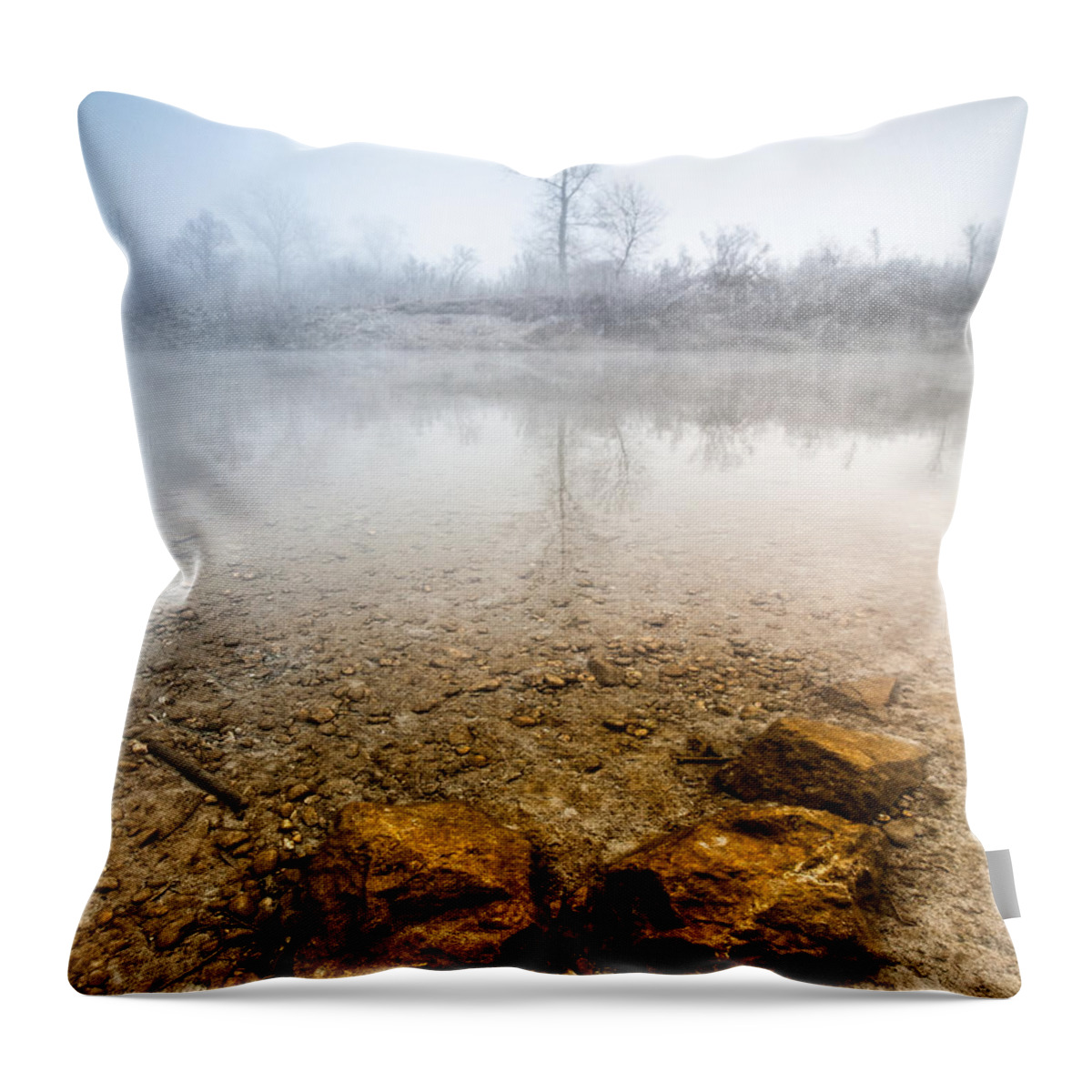 Landscapes Throw Pillow featuring the photograph Tree and rocks by Davorin Mance