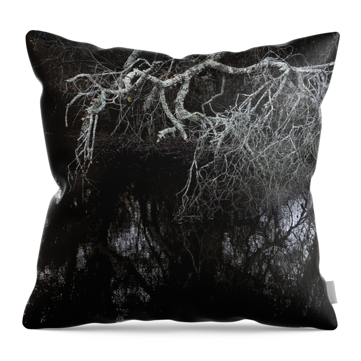Monochrome Throw Pillow featuring the digital art Tree branches mirrored in stream by Perry Van Munster