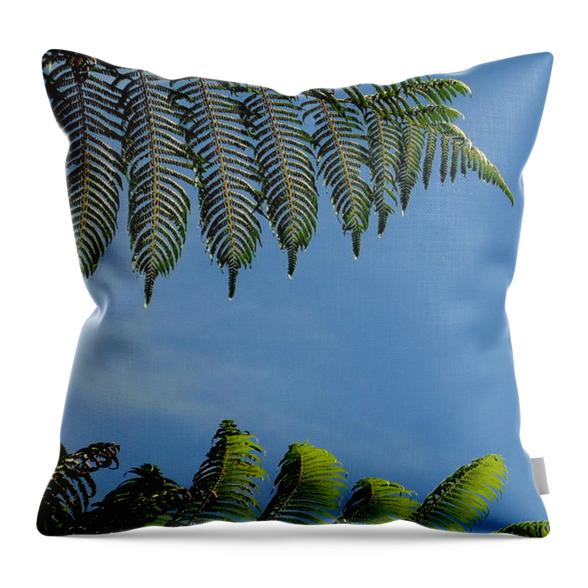 Tree Fern Throw Pillow featuring the photograph Tree Fern Abstract by Peter Mooyman