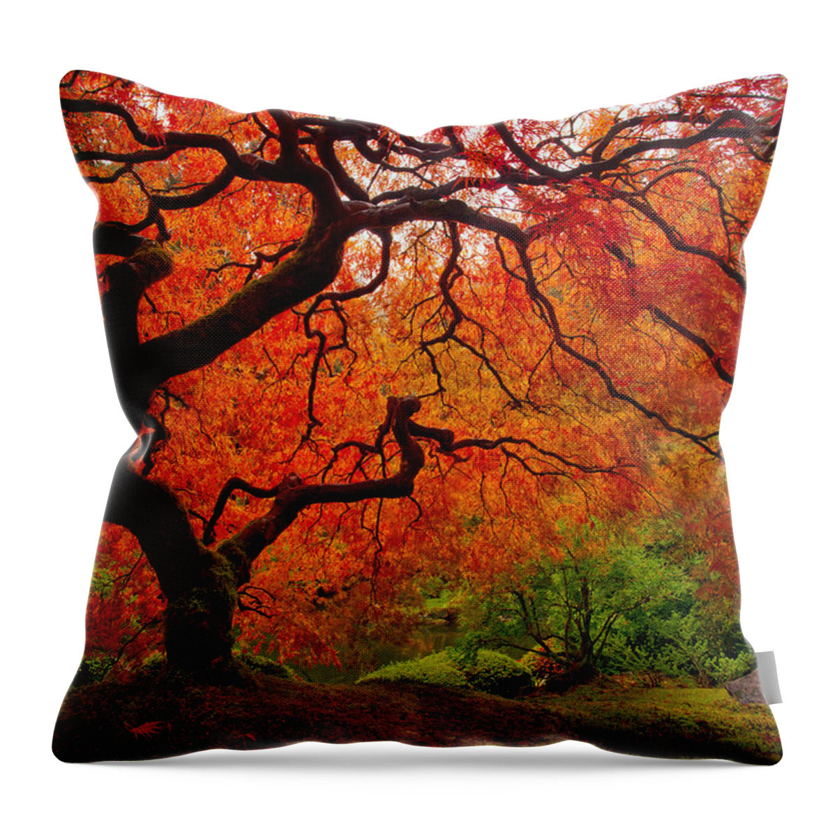 #faatoppicks Throw Pillow featuring the photograph Tree Fire by Darren White