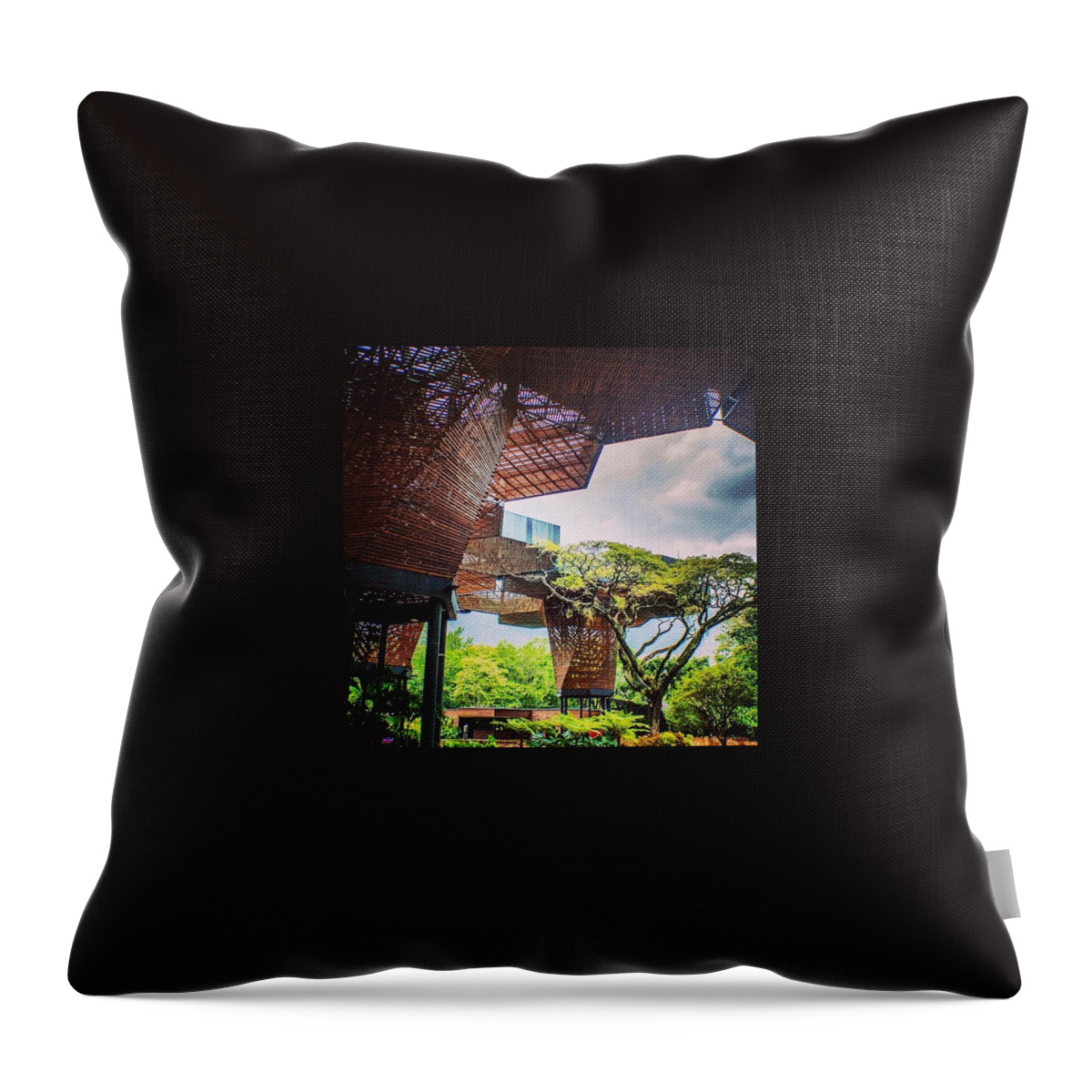 Beautiful Throw Pillow featuring the photograph Tree Houses, Medellin, Colombia by Aleck Cartwright