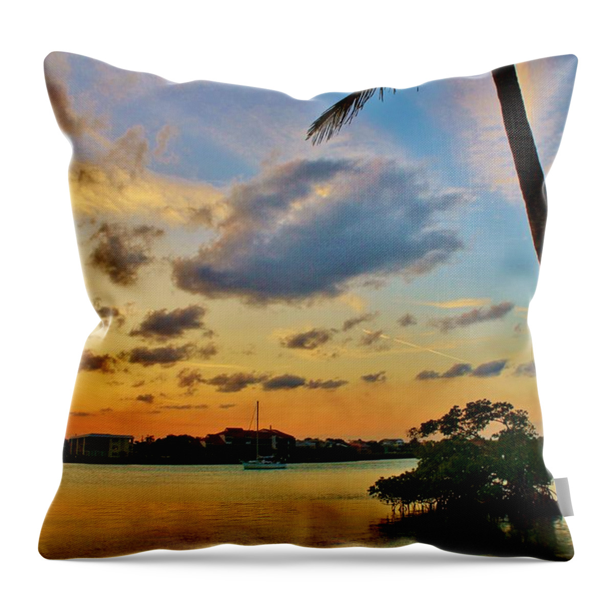 Jupiter Island Throw Pillow featuring the photograph Tree in the Water by Catie Canetti