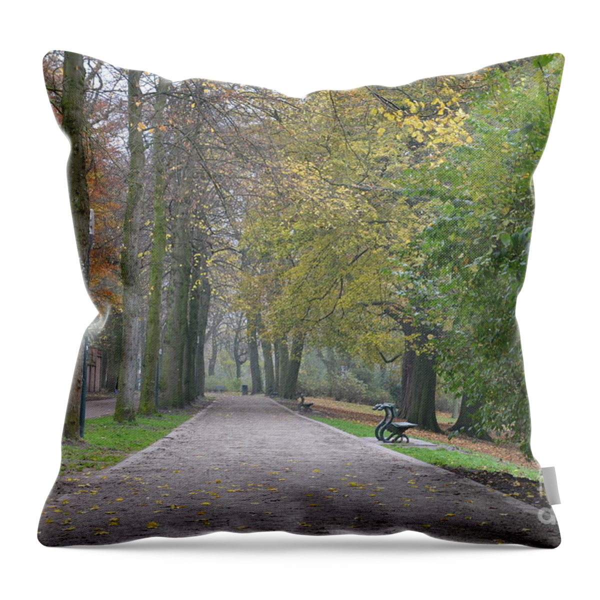 Bruges Throw Pillow featuring the photograph Tree lined path in Fall season Bruges Belgium by Imran Ahmed