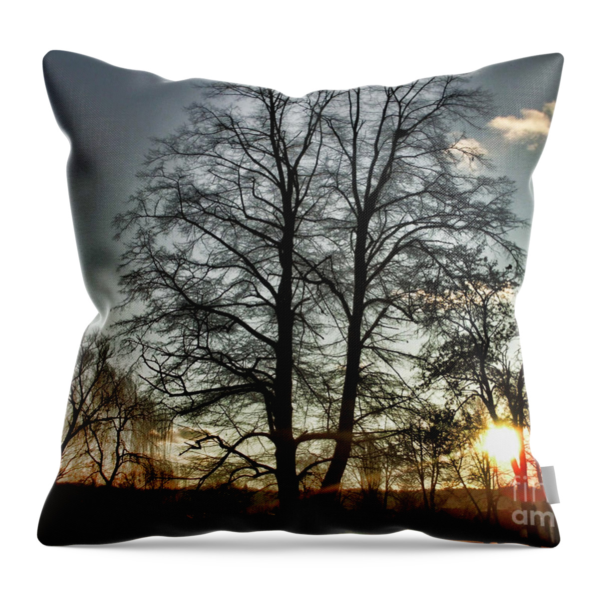 Tree Of Light Throw Pillow featuring the photograph Tree Of Light by Nina Ficur Feenan