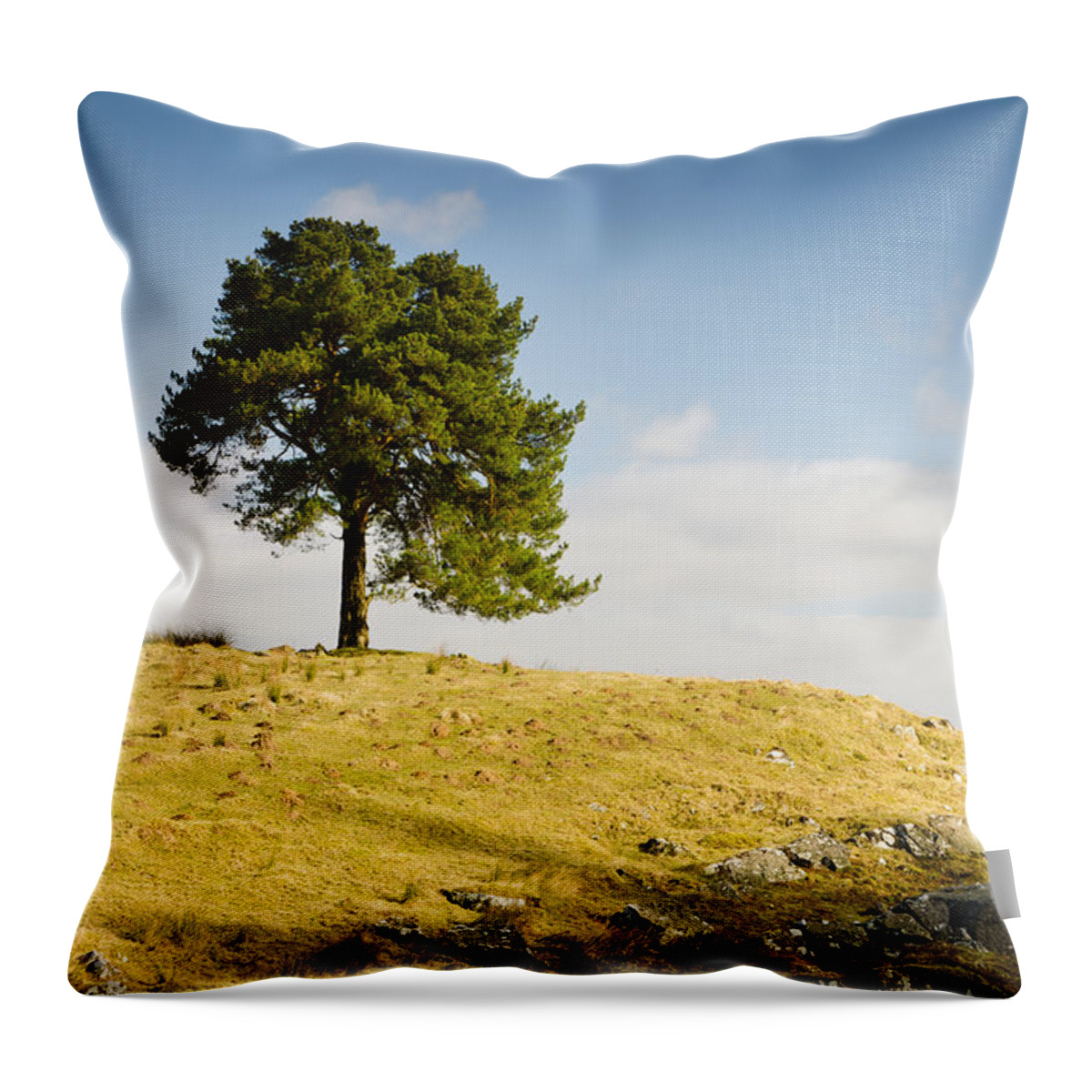 Countryside Throw Pillow featuring the photograph Tree on a Hill by David Head