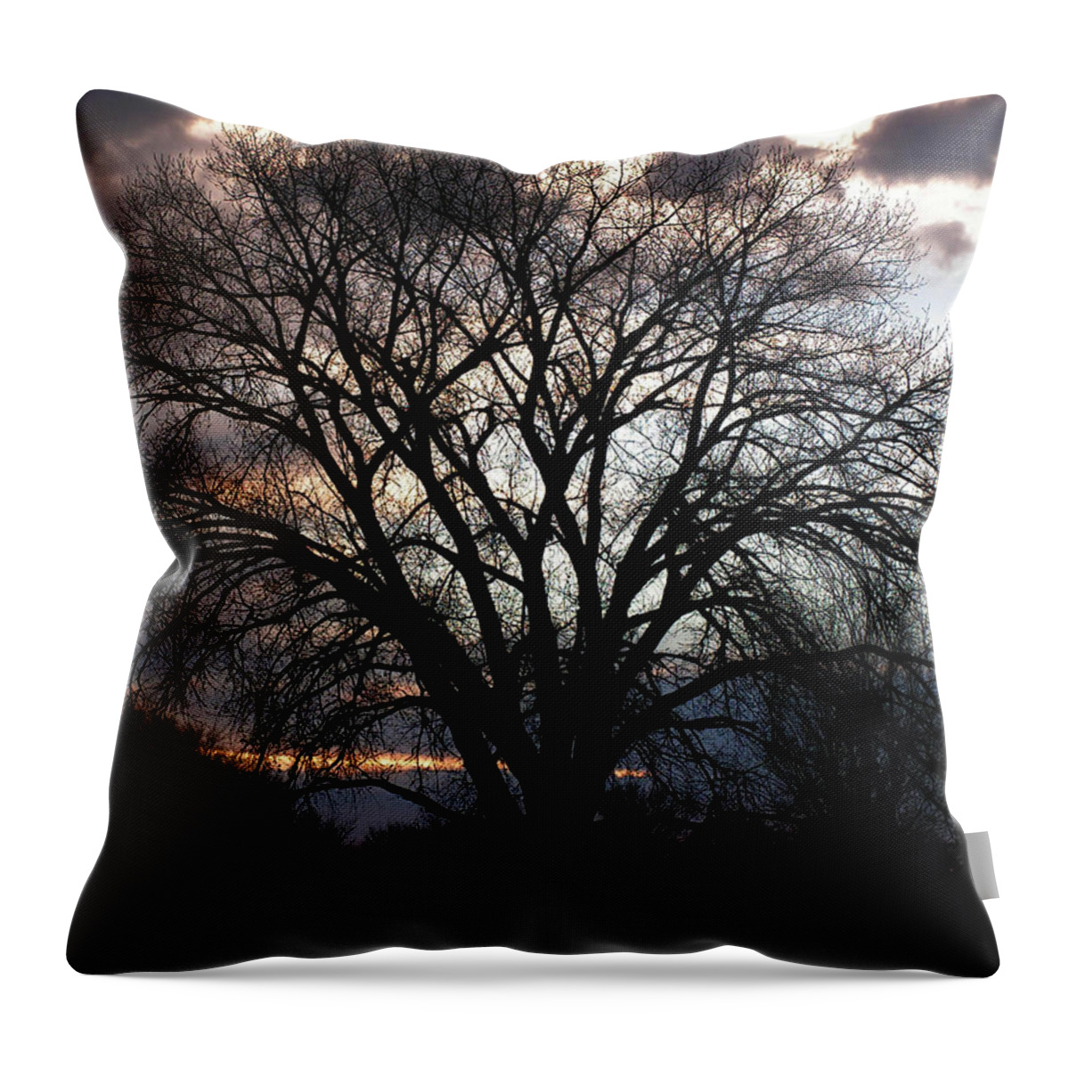 Landscape Throw Pillow featuring the photograph Tree by Pamela Romjue
