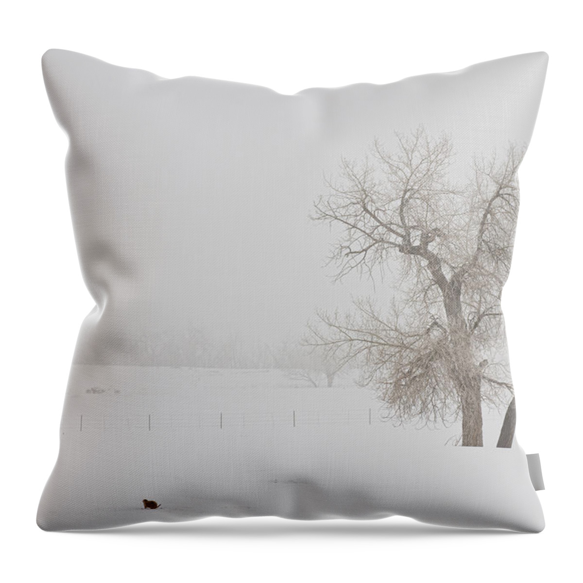 Snow Throw Pillow featuring the photograph Tree Snow Fog and The Prairie Dog by James BO Insogna
