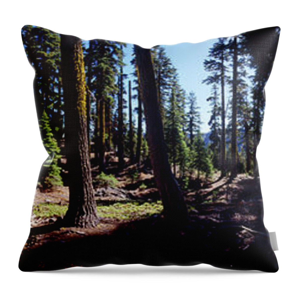 Photography Throw Pillow featuring the photograph Trees In A Forest, Wizard Island by Panoramic Images