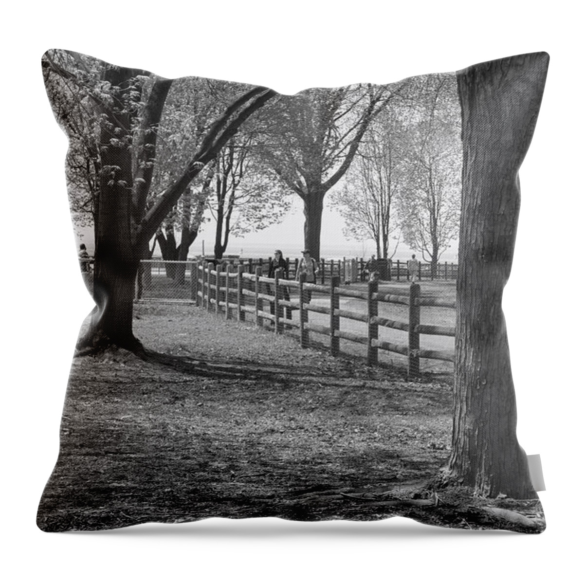 Parkland Throw Pillow featuring the photograph Trees in an Urban Park by Nicky Jameson
