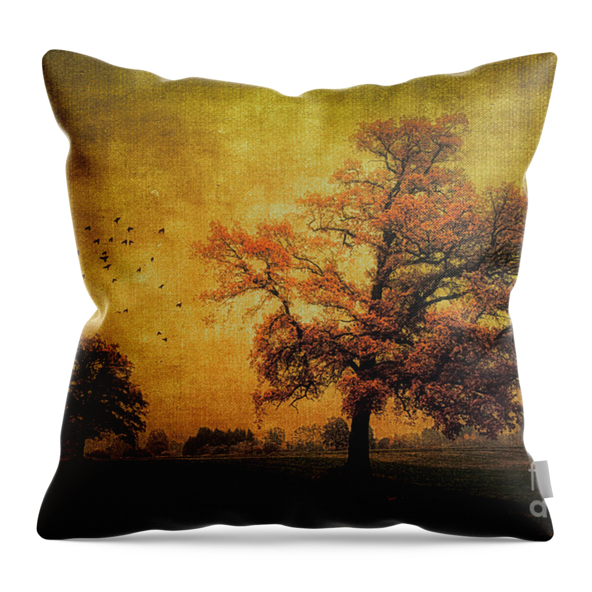 Photo Throw Pillow featuring the photograph Trees in Autumn by Jutta Maria Pusl