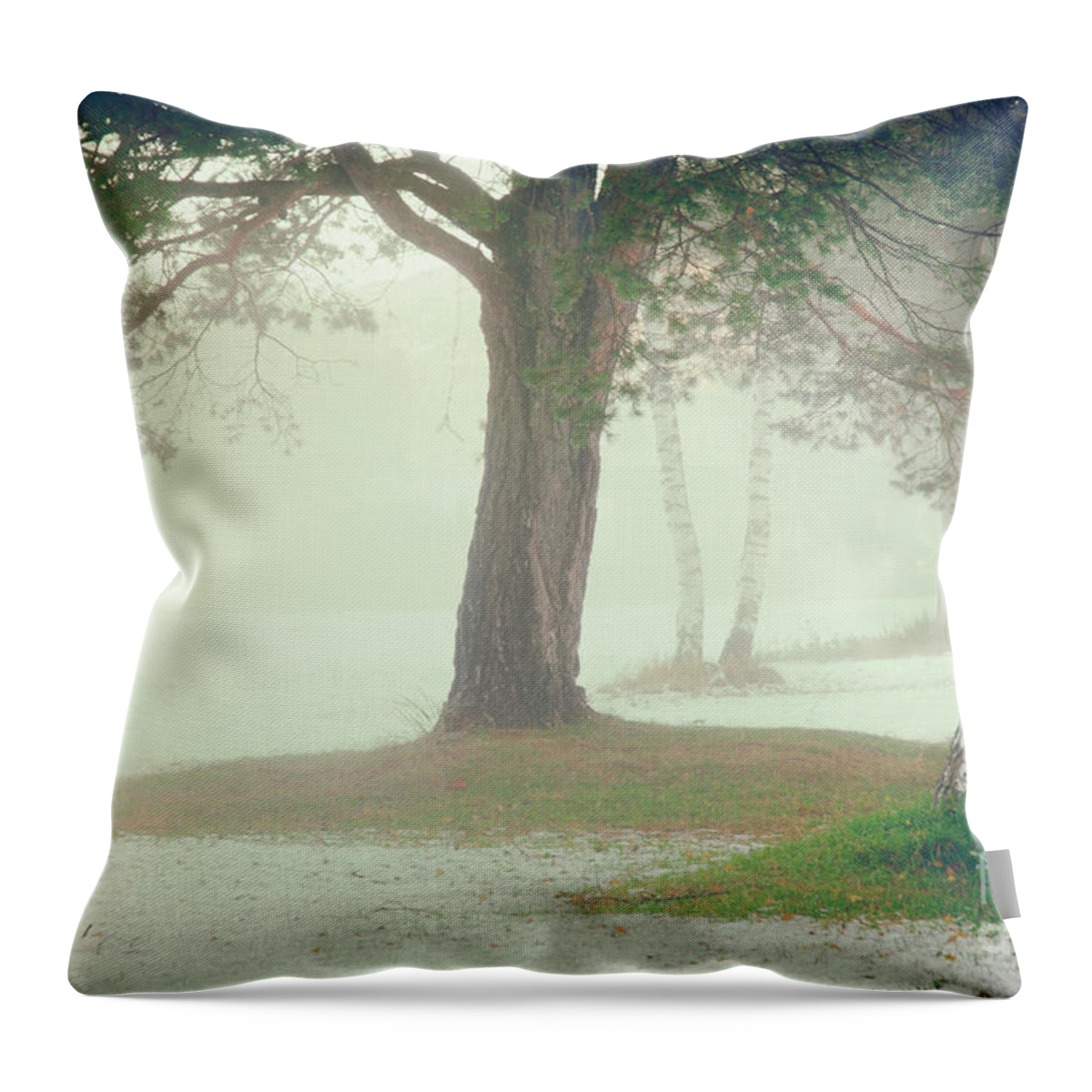 Atmospheric Throw Pillow featuring the photograph Trees in fog by Silvia Ganora