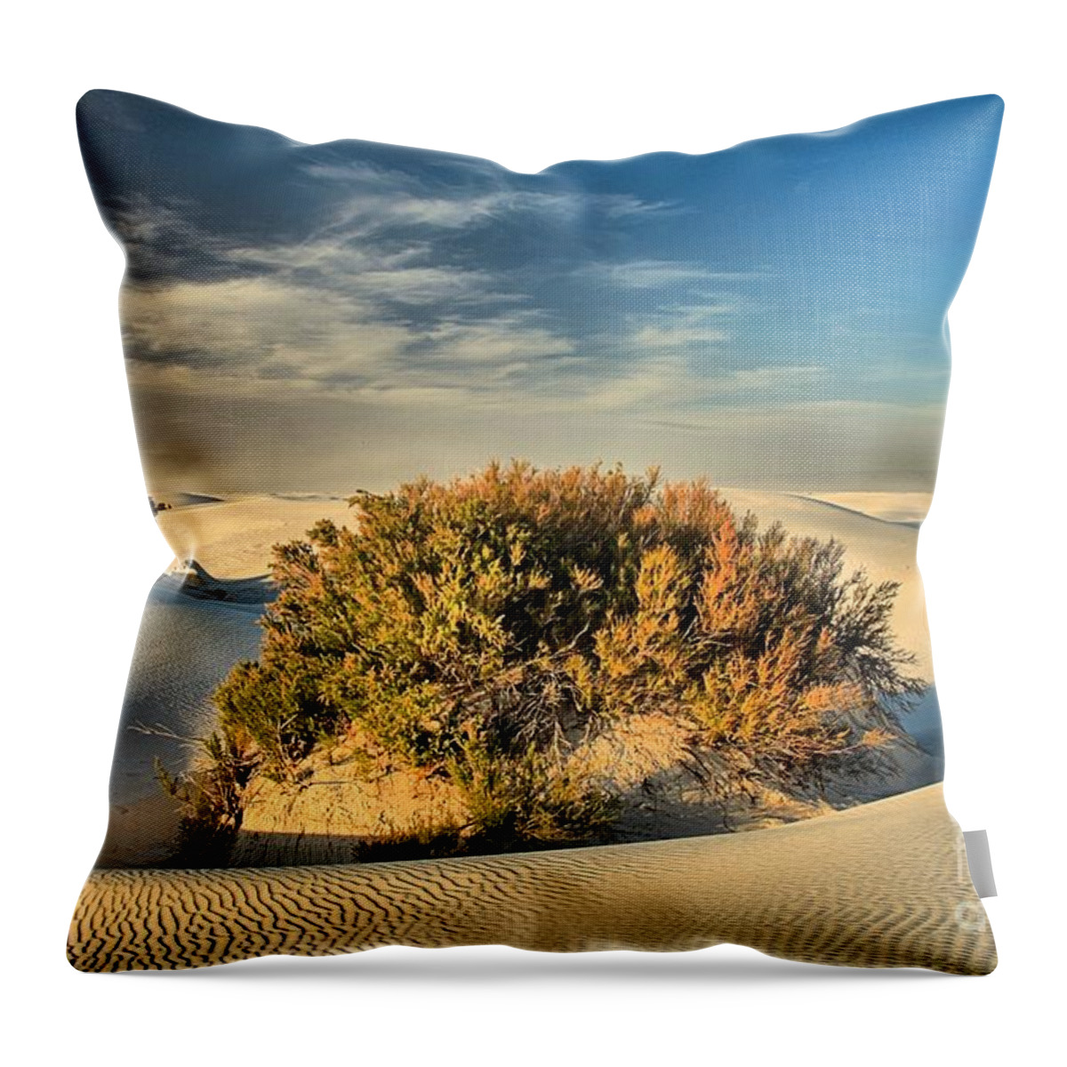 White Sands National Monument Throw Pillow featuring the photograph Trees In Isolation by Adam Jewell
