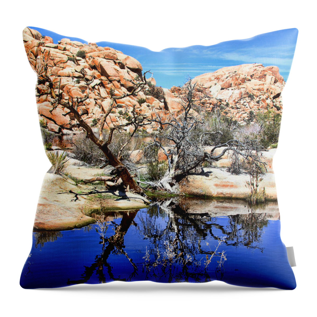 Barker Dam Throw Pillow featuring the photograph Trees in the Barker Dam by Diana Raquel Sainz